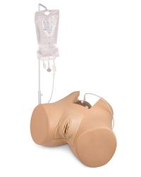 Female Catheter Trainers