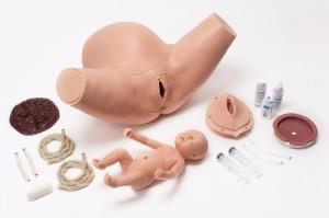 Obstetric Trainer 3