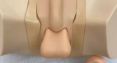 Scrotal Ultrasound Phantom - CEAL Ultrasound Inventory