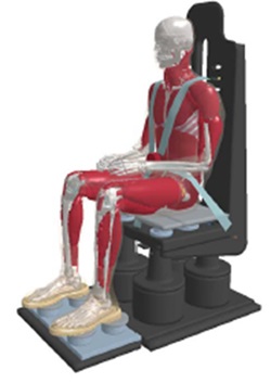Graphic of musculoskeletal body sitting in chairlike device that measures force