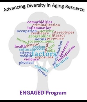 Color logo for the Wake Forest School of Medicine program 'Enhancing Undergraduate Education and Research in Aging to Eliminate Health Disparities (ENGAGED)'