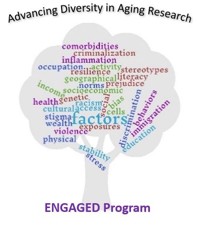 Color logo for the Wake Forest School of Medicine program "Enhancing Undergraduate Education and Research in Aging to Eliminate Health Disparities (ENGAGED)"