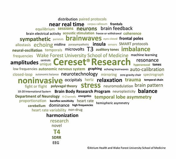 A collection of words related to Cereset Research in the shape of a brain.