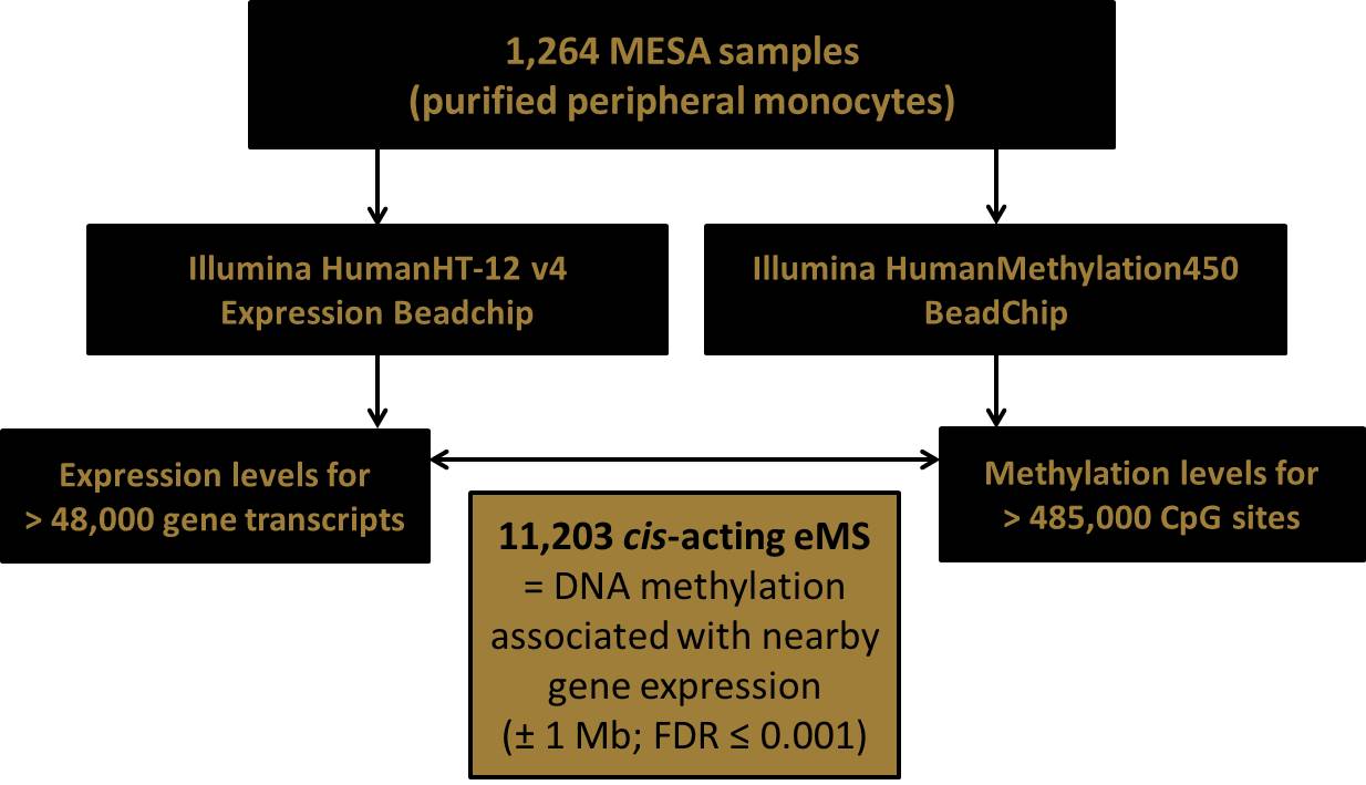 eMS FlowChart MesaEpiGenomics