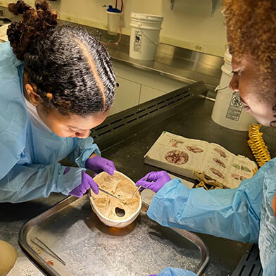 Two scientists examining a skull under bright lights.