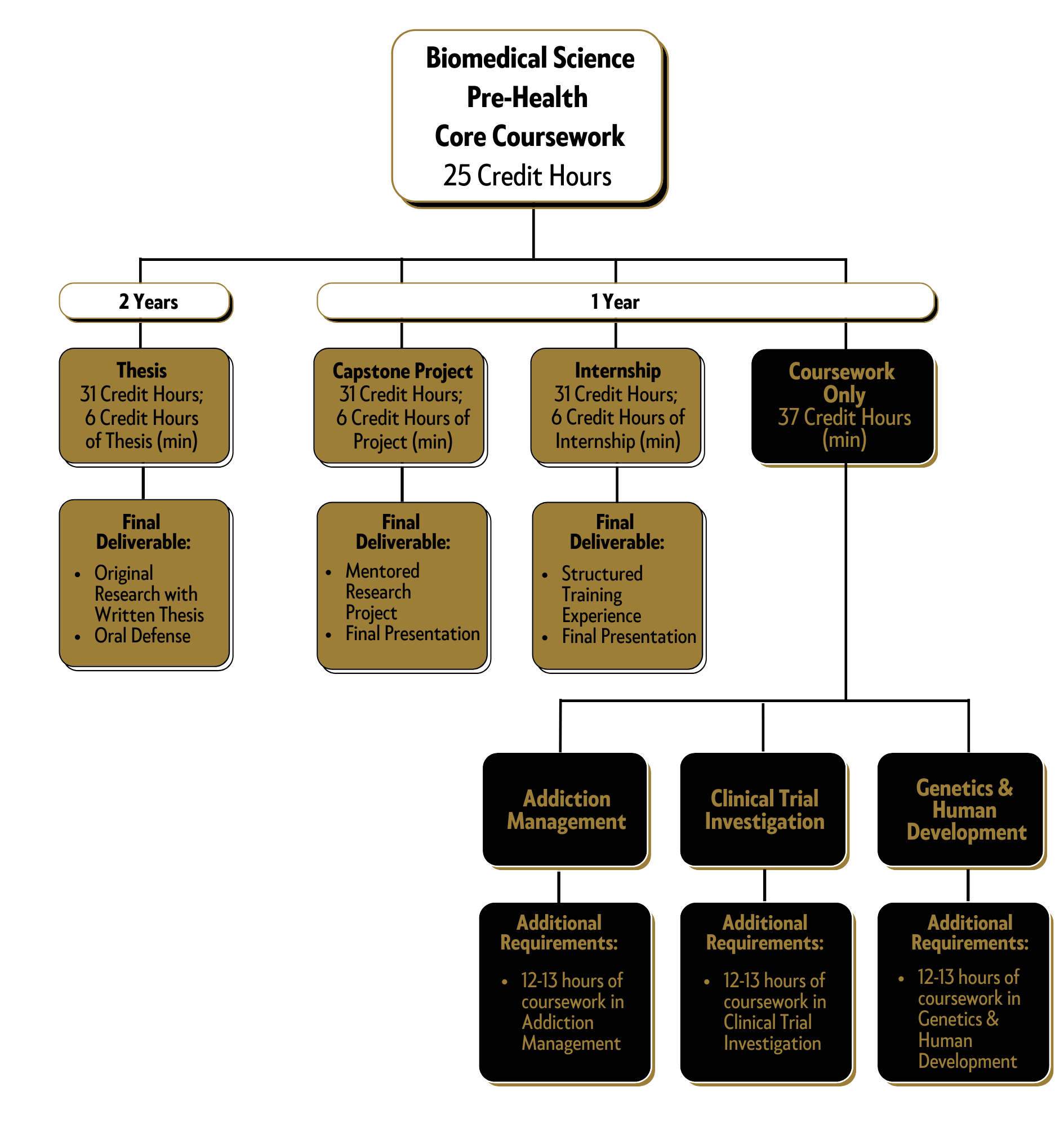 BMSC Pre-Health degree option image