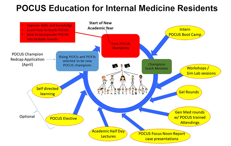 Graphic illustration point-of-care ultrasound curriculum for internal medicine residents