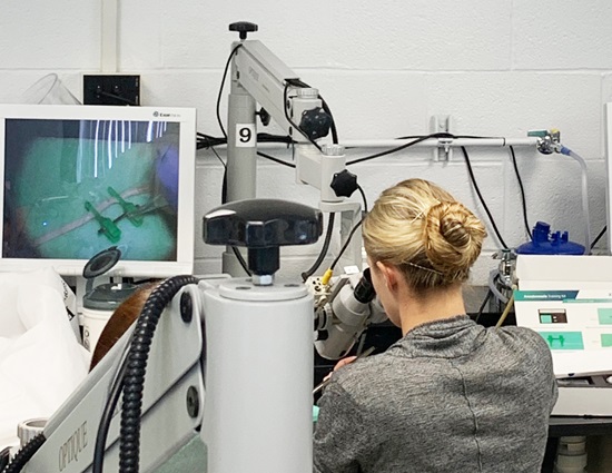 Female neurosurgery resident practices anastomosis, surgically connecting the blood vessels