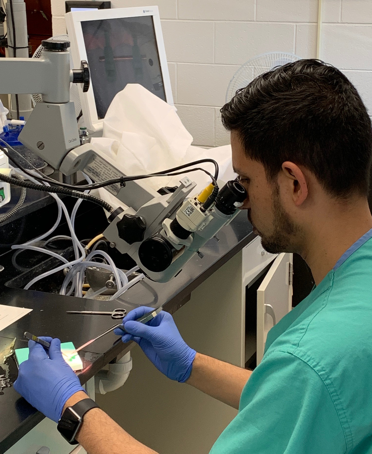 Neurosurgery resident peers into microscope during an anatomy lab