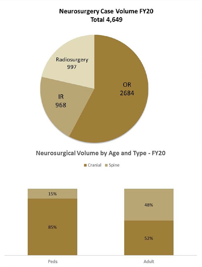 Neurosurgery case mix fiscal year 2019 - adult: 59 percent spine, 41 percent cranial; pediatrics: 13 percent spine, 87 percent cranial
