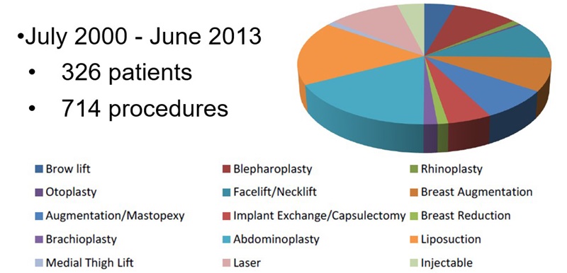 Pie chart detailing breakdown of types of surgery performed at Chief Year Cosmetic Clinic
