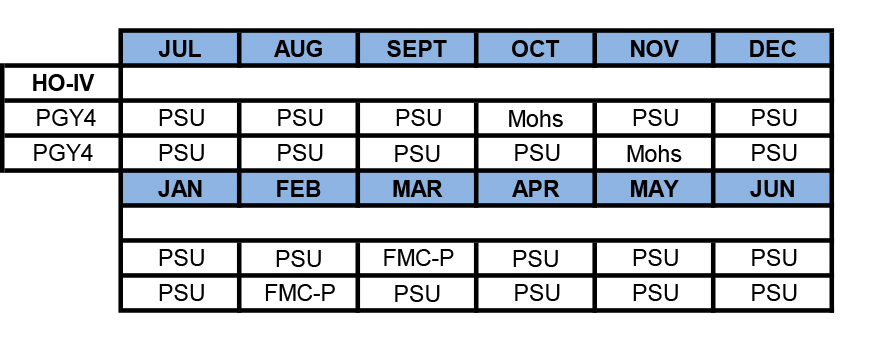 Example block schedule for fourth-year residents in plastic and reconstructive surgery.