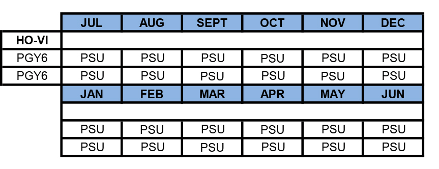Example block schedule for sixth-year residents in plastic and reconstructive surgery.