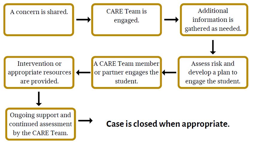 Wake Forest School of Medicine Care Team Process