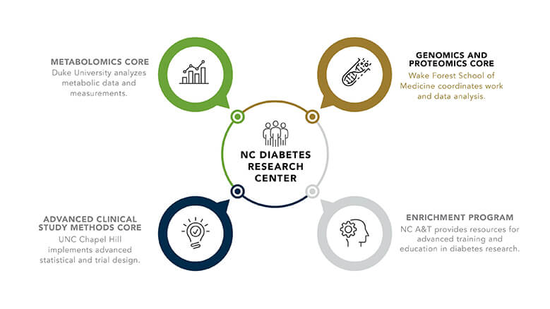 NC Diabetes Research Graphic 779x438