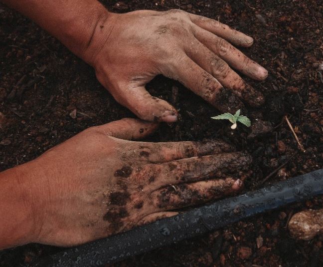 Hands in Dirt - Global Health - Inside Wake PA Feb 2022