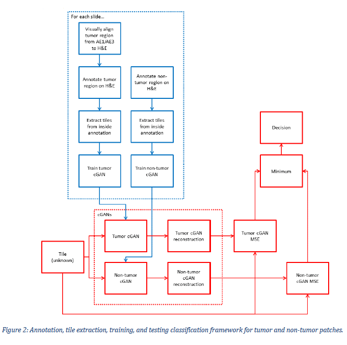 Hematoxylin and eosin stain