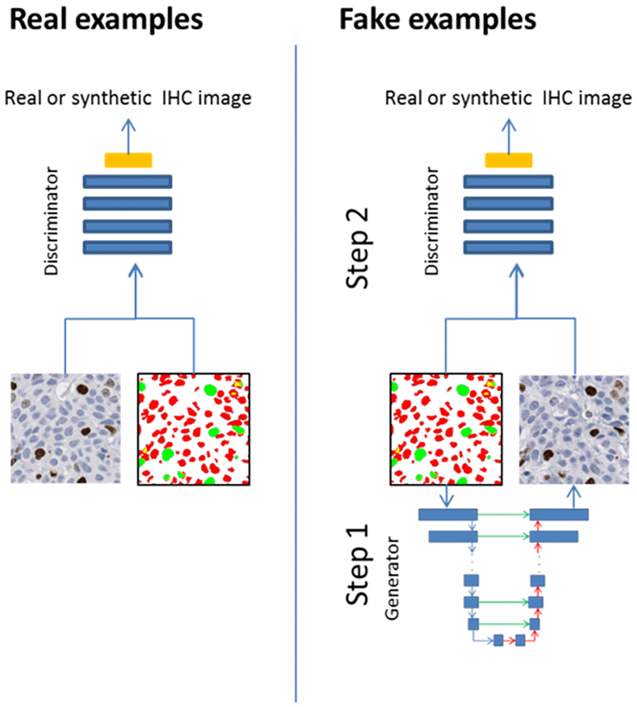 Image Generation