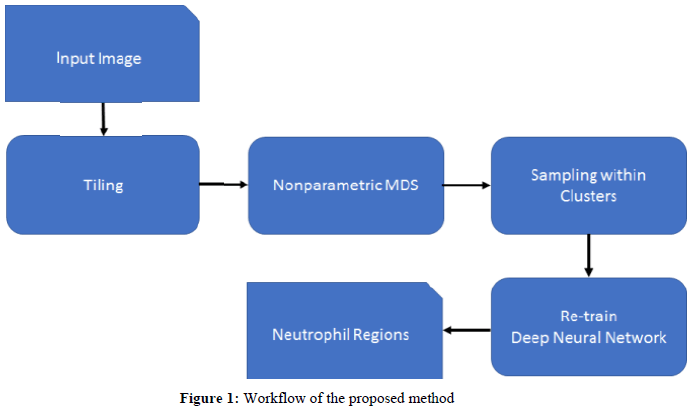 Tuberculosis