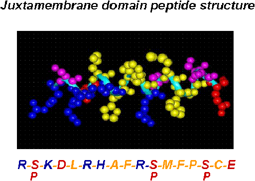 Juxtamembrane