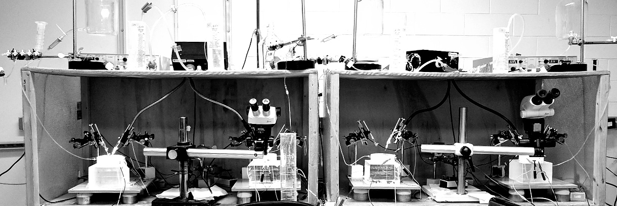 BW lab equipment - Jones lab homepage