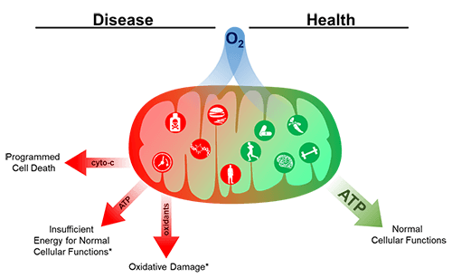 Kramer Lab