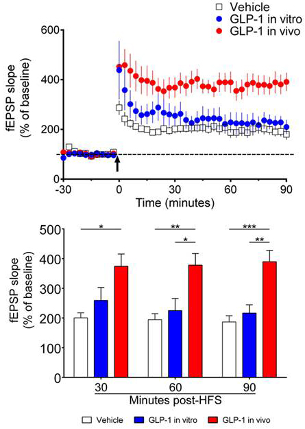 Tao Ma lab - Down syndrome Alzheimers research graphic