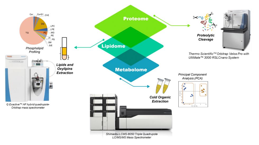 Center for Redox Biology and Medicine Services - Services Overview