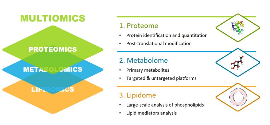 Multiomics Diagram - Proteomics and Metabolomics Shared Resource