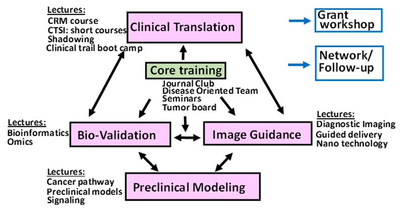 Flow chart graphic of training program progression