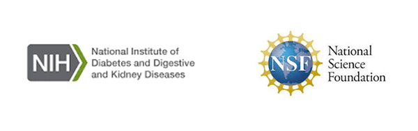 NSF Grant Logo