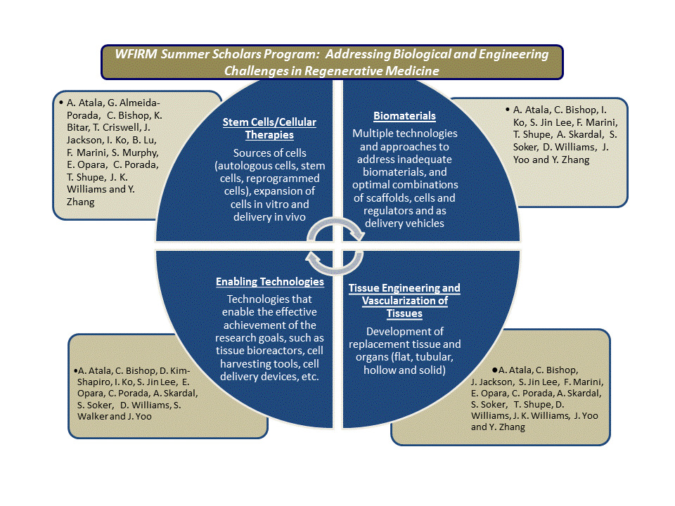 WFIRM Summer Scholars Program Challenges Slide