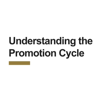 Understanding the Promotion Cycle - Mentoring Minute