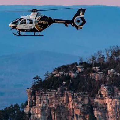 Wilderness Medicine: Where the Wild Things Are