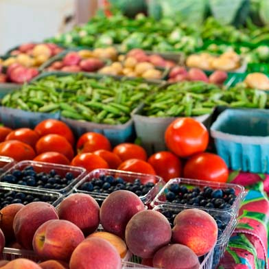 Food Insecurity