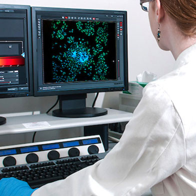  PhD Program in Microbiology and Immunology at Wake Forest School of Medicine