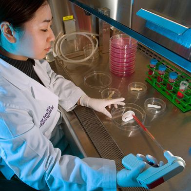 innovations areas of expertise reg medicine 392x392