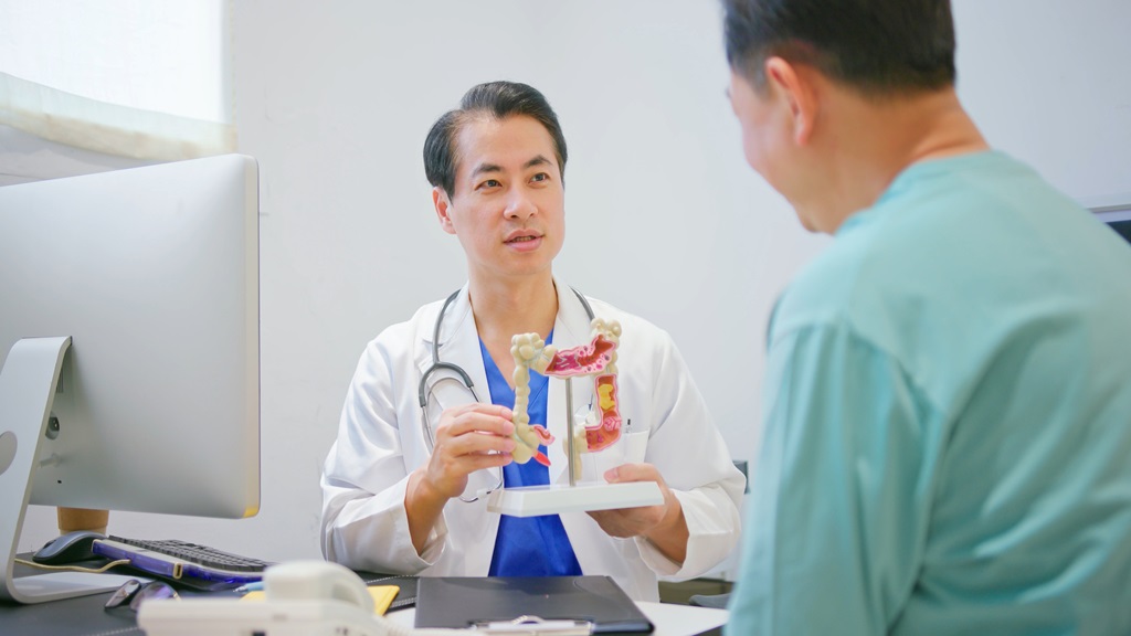 Doctor holding a mold of a colon and showing patient 