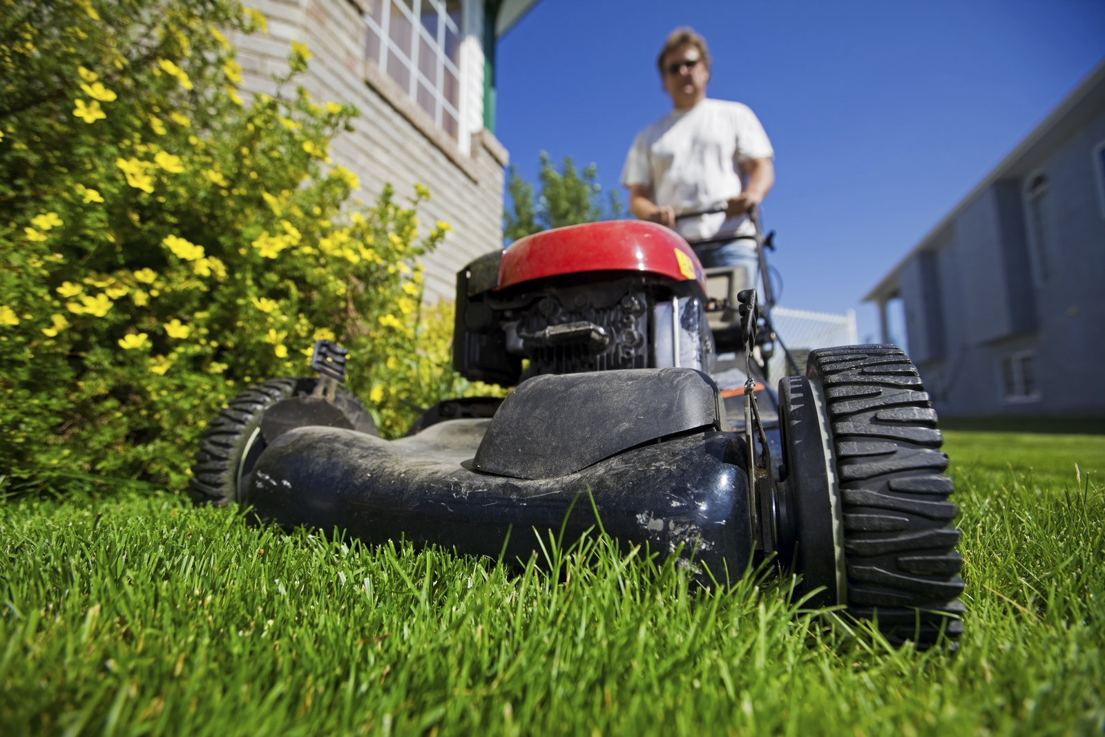 Daily Dose Basic Lawn Mower Safety Everyone Should Know