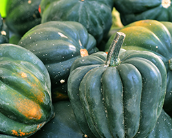 Baked Acorn Squash