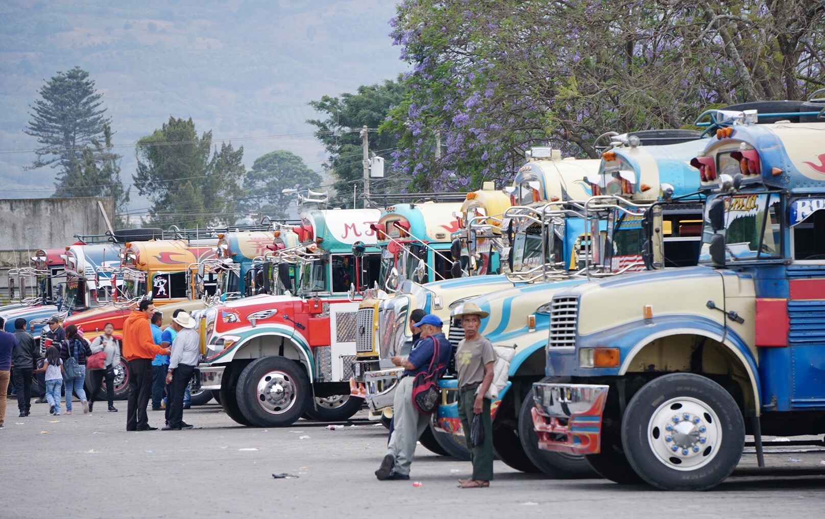 Antigua buses