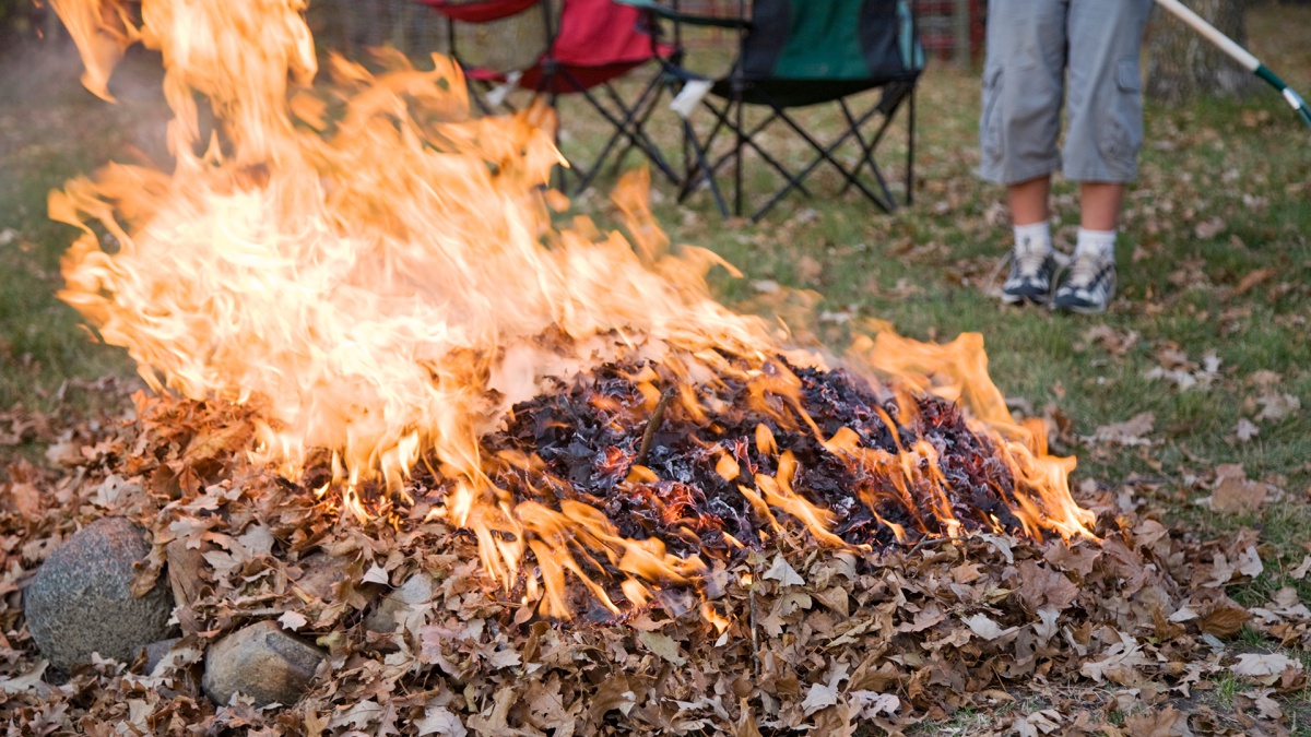 Daily Dose Is Burning Fallen Leaves Hurting Your Health?