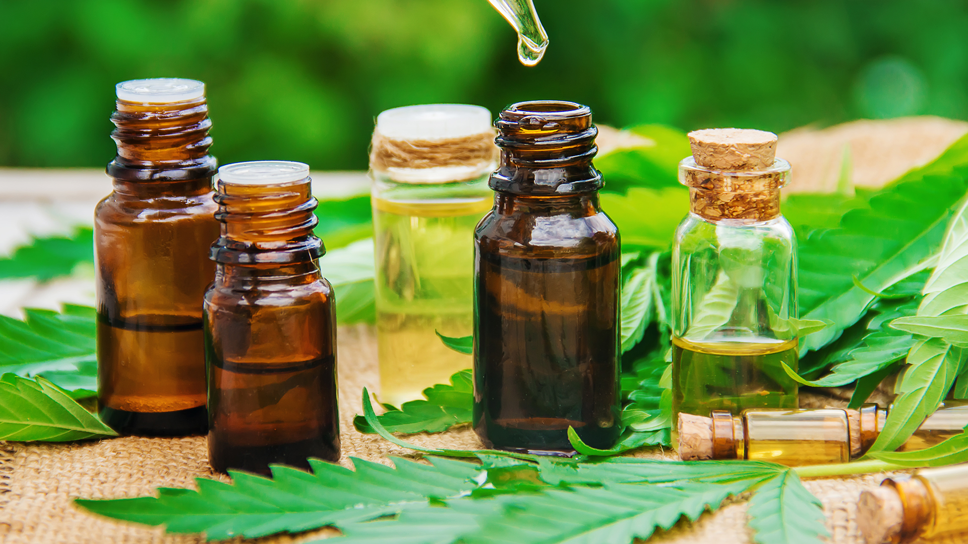 Daily Dose - Can CBD Oil Provide Health Help Without the High?