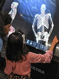 Shaping Future Careers: STEM Fest Inspires Innovation Daily Shaping Future Careers: STEM Fest Inspires Innovation Daily