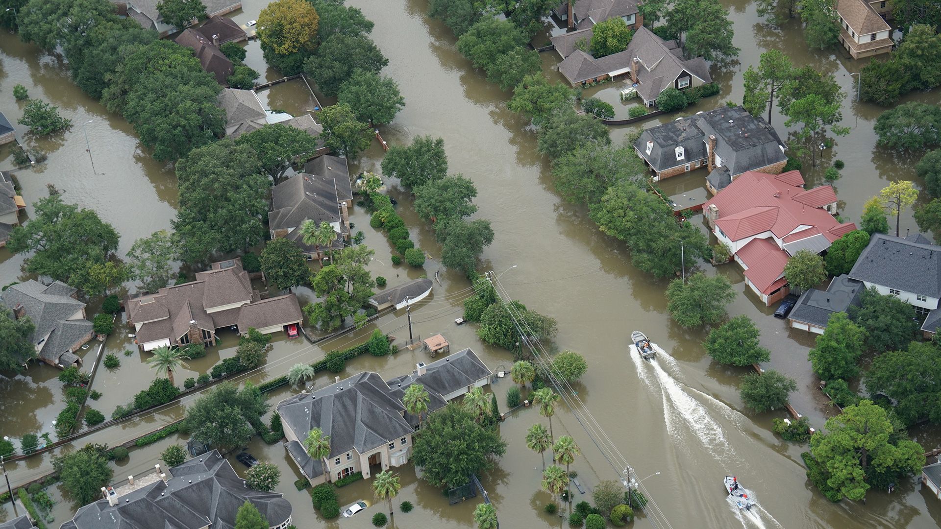 After the immediate damage from a large hurricane, many hazards remain from flooding and standing waters. 