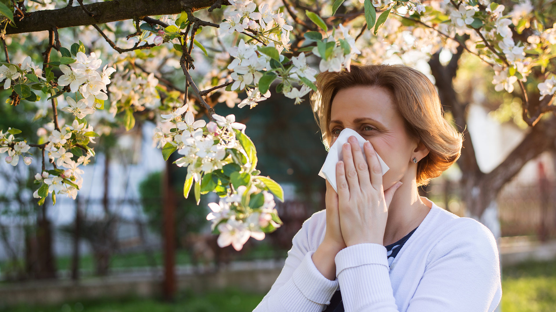 Daily Dose - The Allergy Facts You Need Right Now