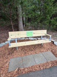 Park Bench Is Helping Combat Loneliness