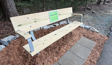 Park Bench Is Helping Combat Loneliness