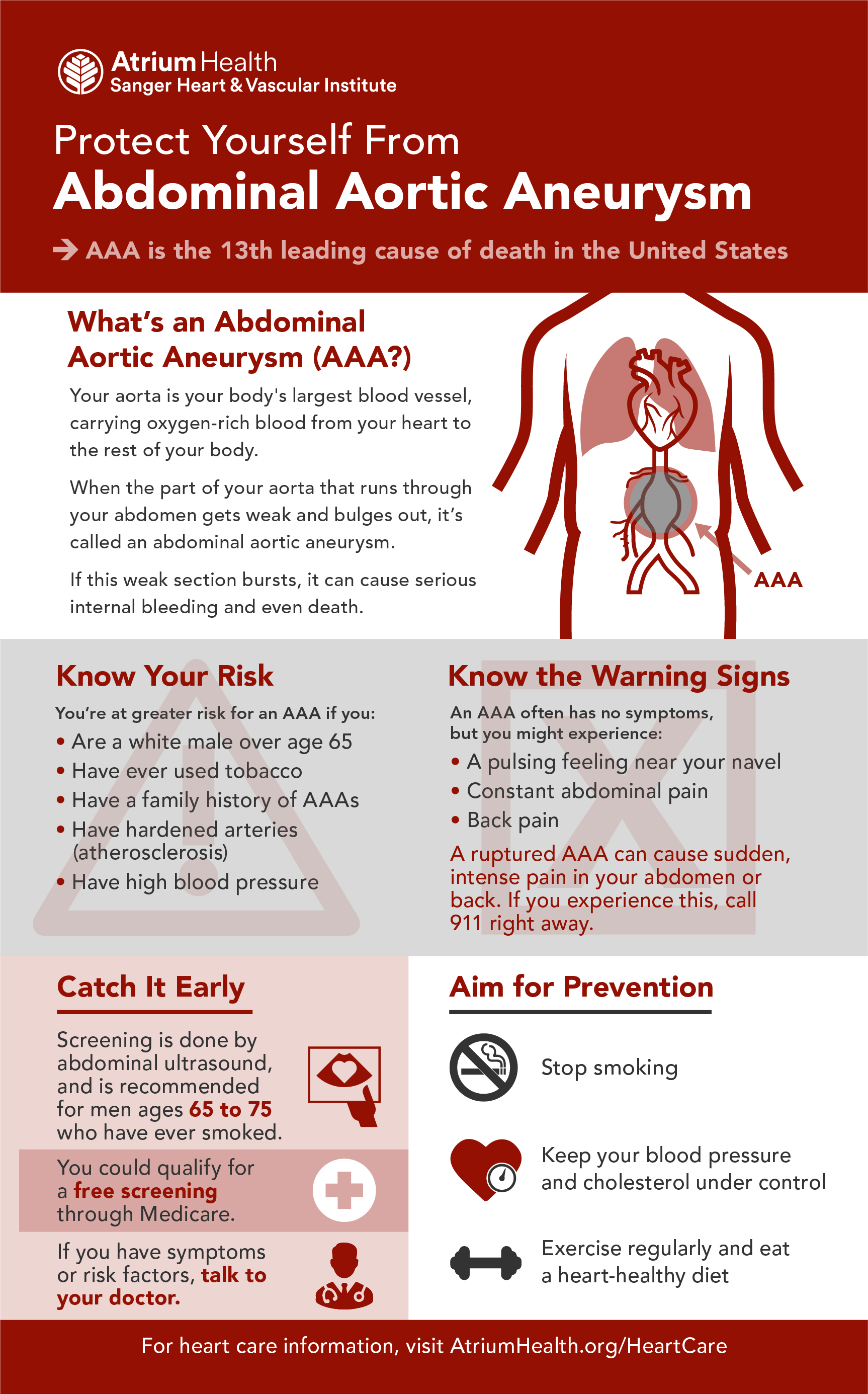 Abdominal aortic aneurysm infographic