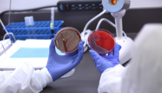 Carolinas College and Winthrop University partner on joint biology degree